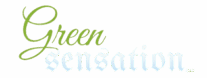 diseño sin título (8)